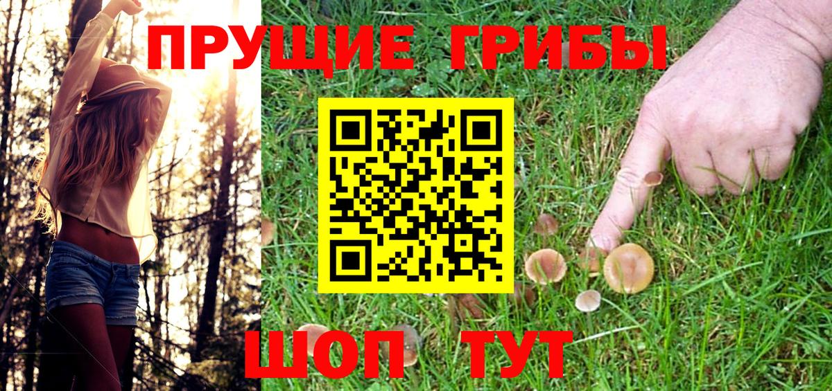 Псилоцибиновые грибы Cubensis Благовещенск
