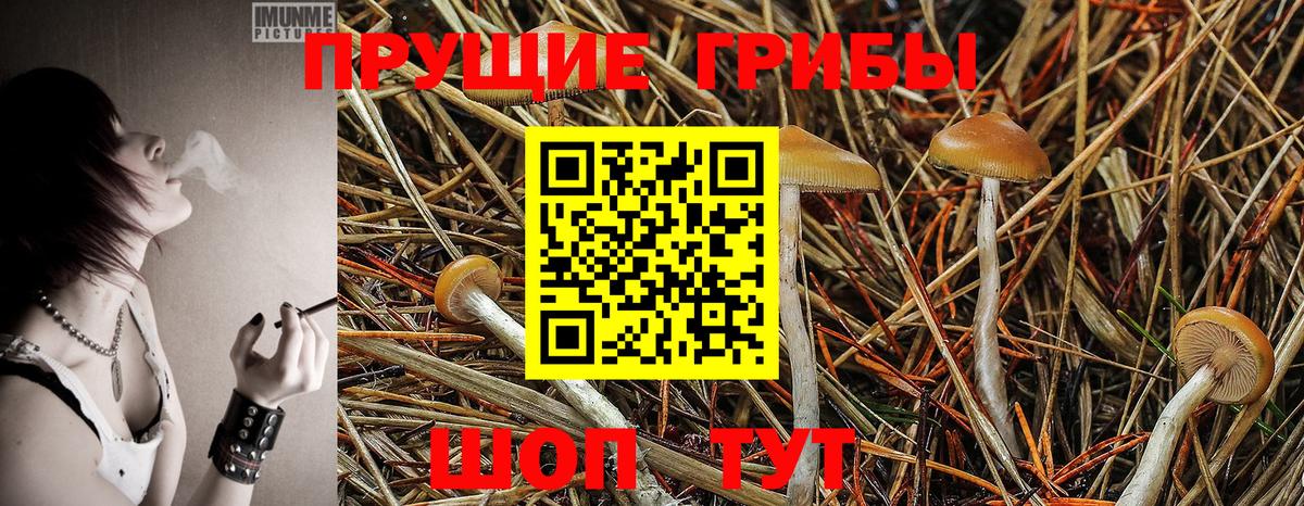 Благовещенск  Галлюциногенные грибы мицелий  Вход с VPN 